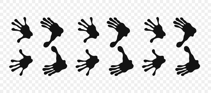 Vector ruta de senderos de animales patas de lémur patas de lémur caminando al azar imprimir vector aislado en cuadrado