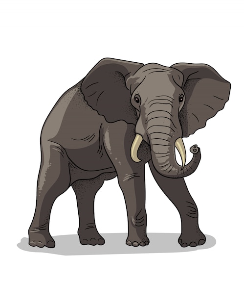 Vector sabana africana elefante de pie aislado en estilo de dibujos animados. ilustración de zoología educativa, imagen para colorear.