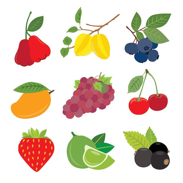 Los sabores de los trópicos con frutas exóticas