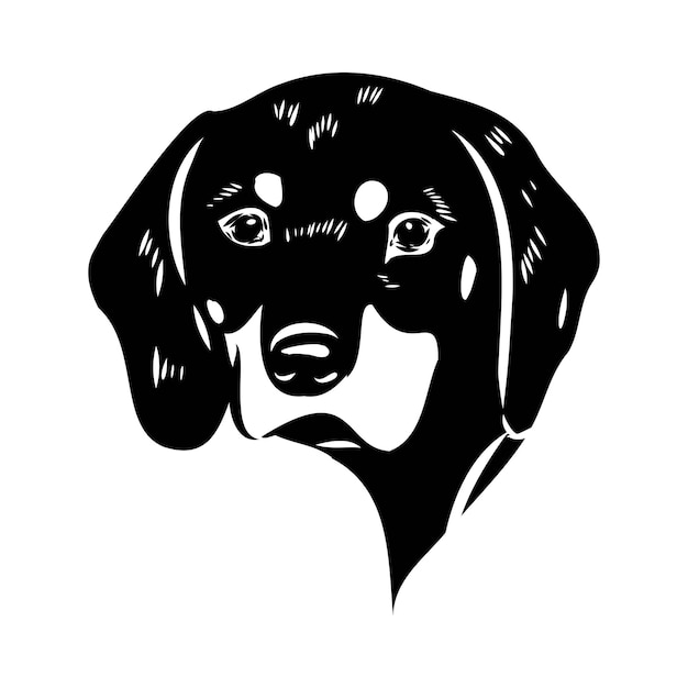 Sabueso austriaco negro y fuego vector brandlbracke austriaco