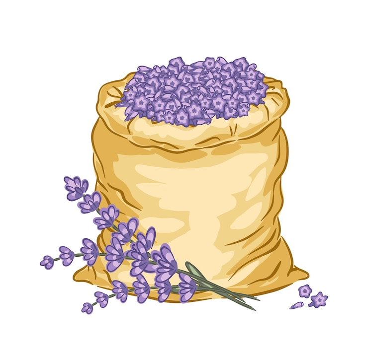 Vector saco dibujado a mano lleno de vibrantes flores de lavanda púrpura sobre un fondo plano