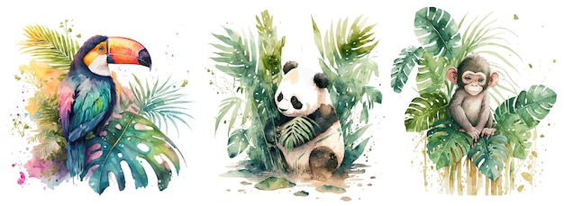 Safari Animal set loro panda y mono en hojas de palma en estilo acuarela Ilustración vectorial aislada
