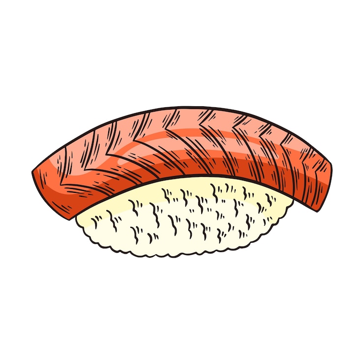 Vector sake nigiri sushi o salmón en arroz japonés dibujado a mano