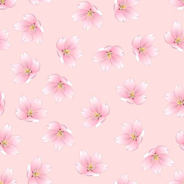 Vector sakura cherry blossom en fondo rosa