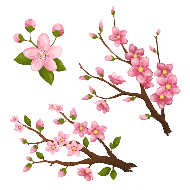 Vector sakura. hermoso estampado con flores de sakura rosa claro y oscuro en flor.