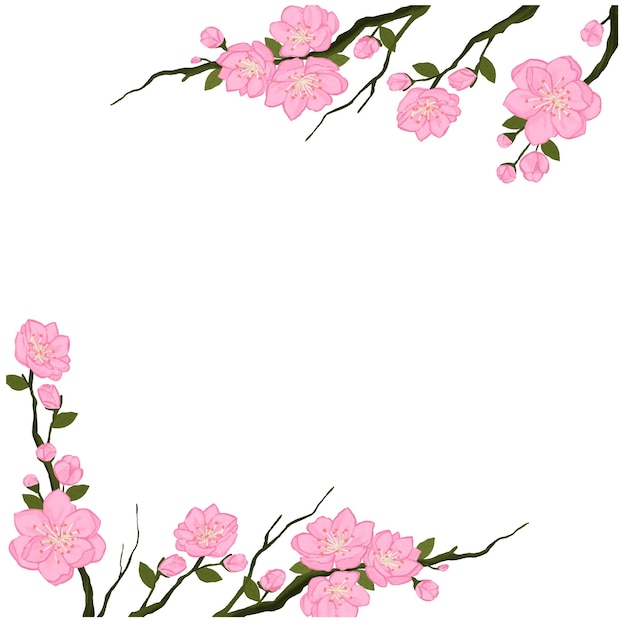 Vector sakura japón rama de cereza con flores en flor