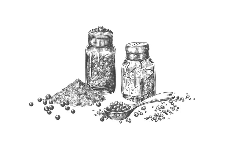 Vector sal y pimienta molinos dibujados a mano con condimentos para el menú del restaurante botellas aisladas para polvo culinario de sabor picante boceto en blanco y negro de condimento y cuchara vector conjunto picante