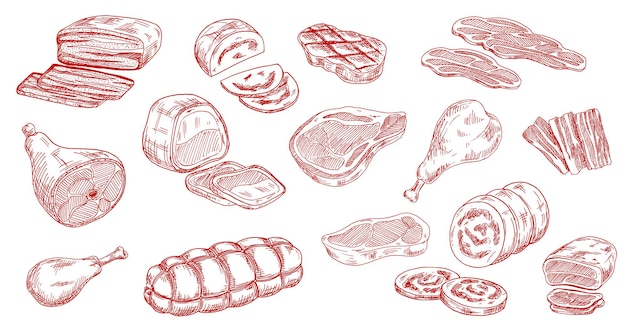 Vector salchicha de cerdo ternera jamón y carne de cordero sketch vector