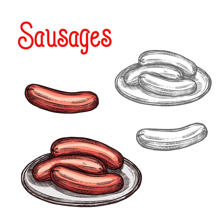 Vector salchicha en plato sketch diseño de productos alimenticios de carne