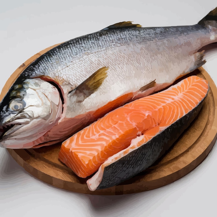 Vector salmón aislado