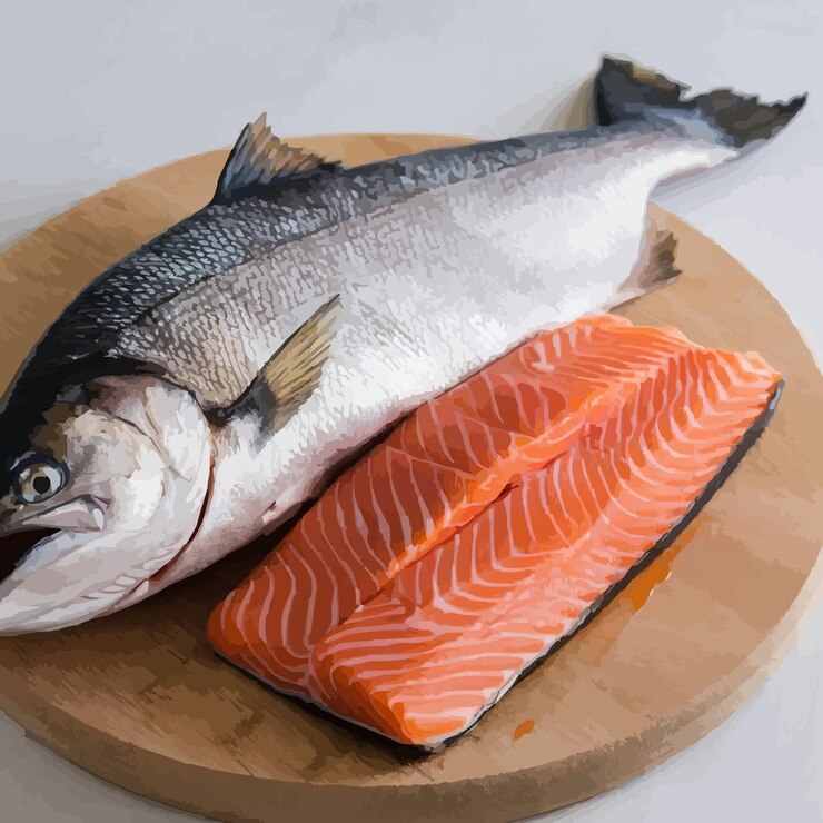 Vector salmón aislado