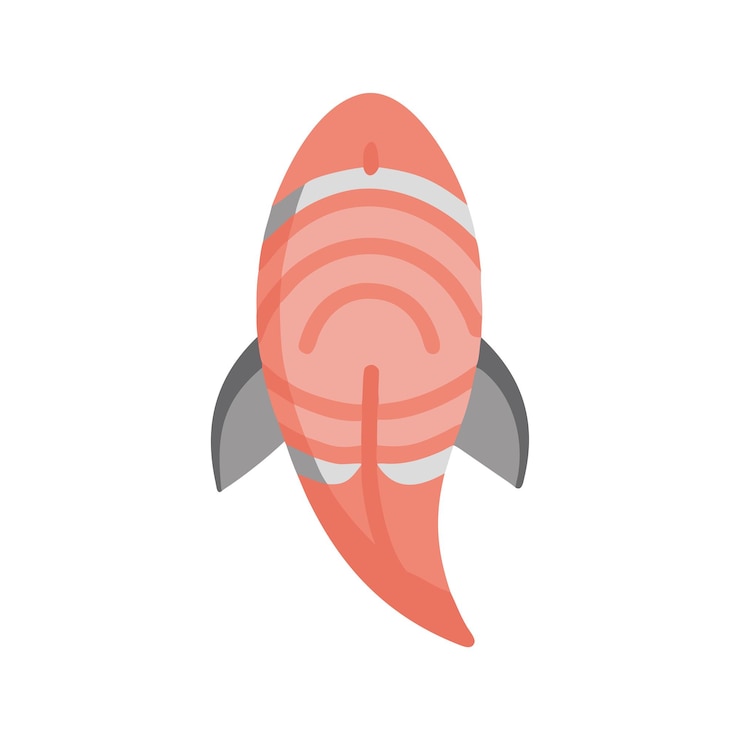 Vector el salmón es un vector de comidas saludables