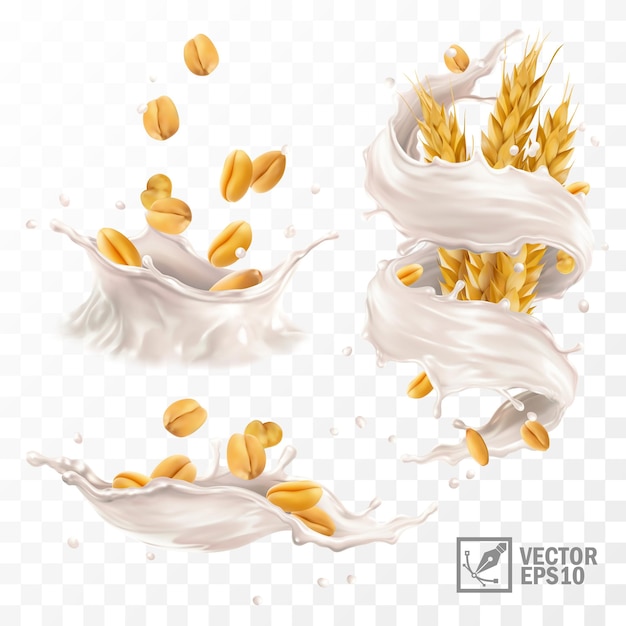 salpicaduras vectoriales realistas en 3d de leche o yogur con granos de trigo