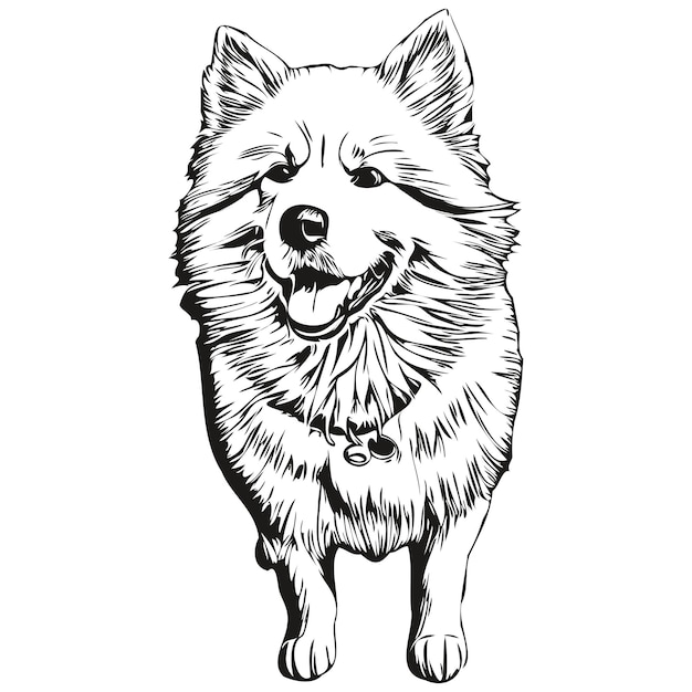 Samoyedo perro raza dibujo lineal imágenes prediseñadas animal dibujo a mano vector blanco y negro mascota de raza realista