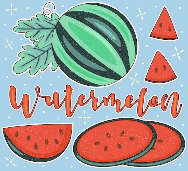 Sandía entero y piezas ilustración de stock vectorial conjunto de frutas de colores