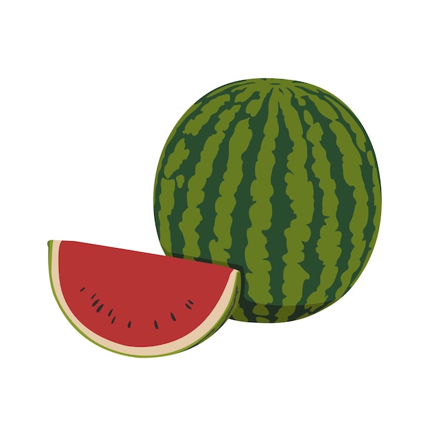 Sandía Fruta Vector diseño plano gráfico 2d HD