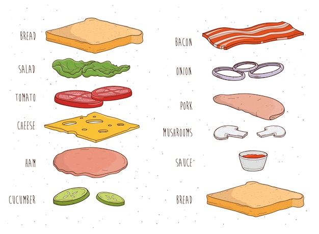 Sándwich de ingredientes por separado. pan, ensalada, tomate, queso, salsa, champiñones, tocino, cebolla. ilustración de vector dibujado a mano colorido.