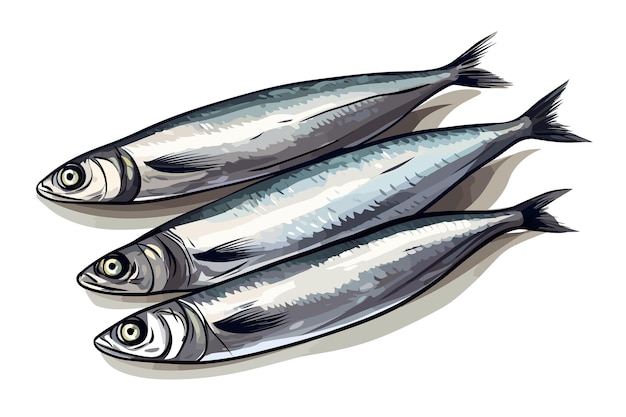 Vector sardinas pescado vector arte bodegón pintura ilustración plana