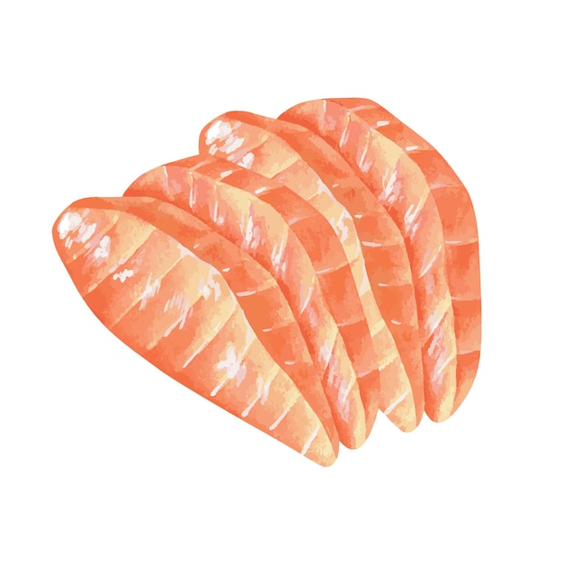 Vector sashimi de salmón ilustración acuarela parte dibujada a mano de la cocina tradicional japonesa