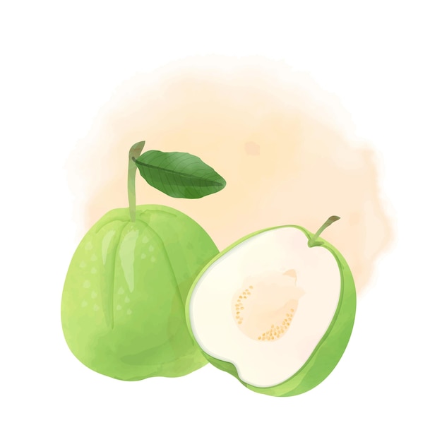 Sauce de guayaba de fruta en estilo de ilustración acuarela