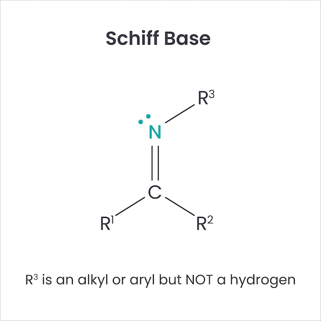 Schiff base bioquímica grupo funcional ciencia vector infografía