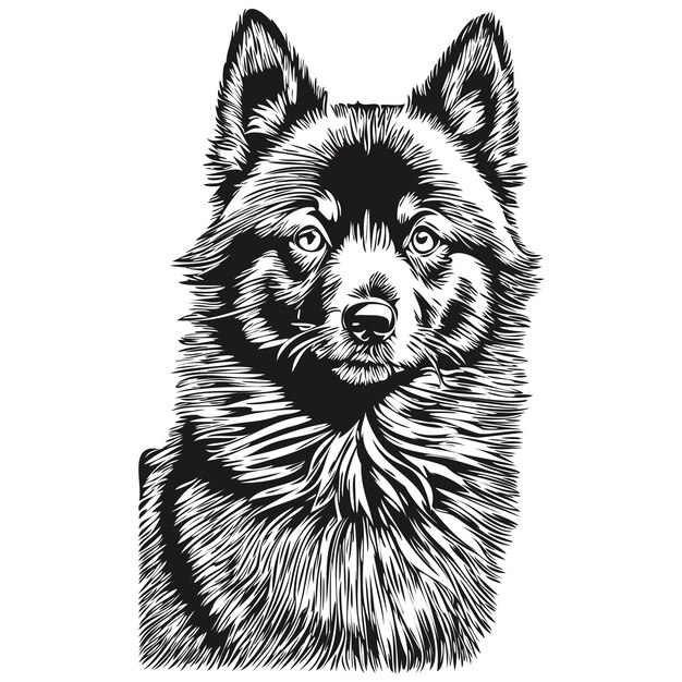 Schipperke perro silueta mascota personaje clip art vector mascotas dibujo blanco y negro mascota de raza realista