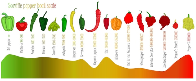 Scoville pepper escala de calor ilustración de pimiento de más dulce a muy picante