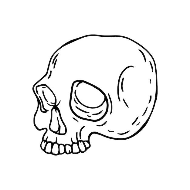 Scull en estilo doodle Ilustración dibujada a mano