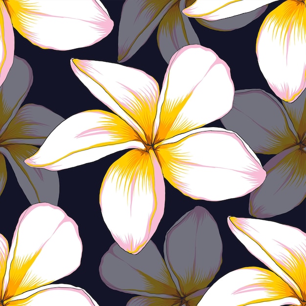 seamless, patrón, floral, con, frangipani, flores, extracto, plano de fondo