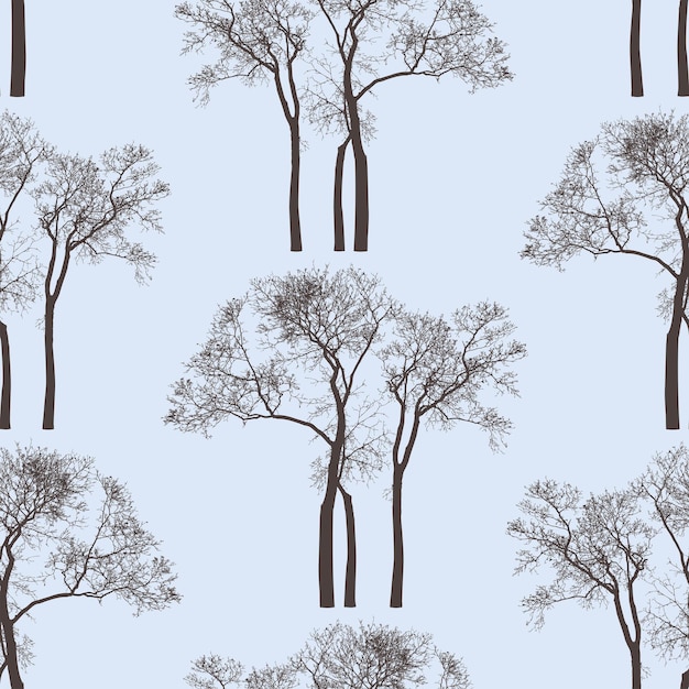 Vector seamless, patrón, de, siluetas, caducifolio, árboles desnudos