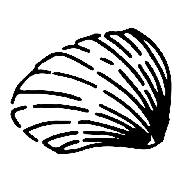 Seashell sketch clipart solo garabato de concha de molusco aislado en blanco ilustración de vector dibujado a mano en estilo de grabado