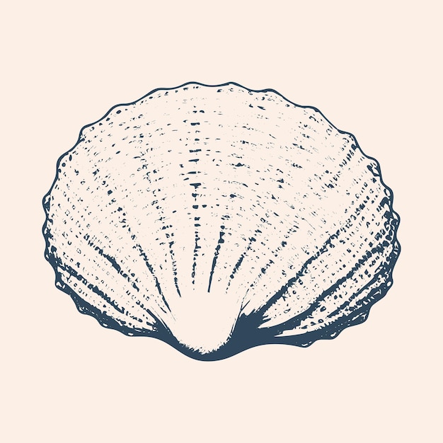 Seaside Treasures Vintage Seashell Ilustración