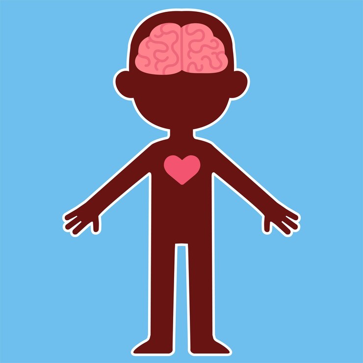 Vector sección transversal del cuerpo humano de dibujos animados con cerebro y corazón visibles