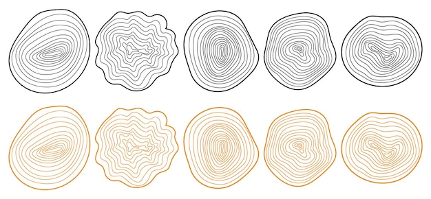 Secciones transversales de anillos de árboles