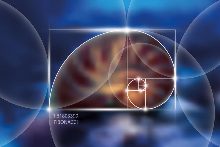 Vector la secuencia de números de fibonacci relación dorada formas geométricas en espiral escarabajo en espiral nautilus concha de mar