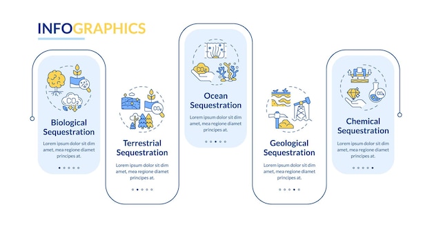 Secuestro de carbono diferentes tipos de rectángulo vector infográfico