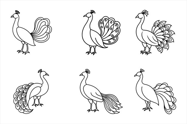 Seis líneas de arte pavos reales ilustraciones de pájaros en blanco y negro