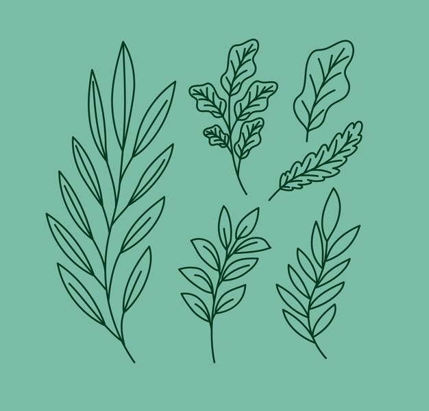 Seis tallos de plantas