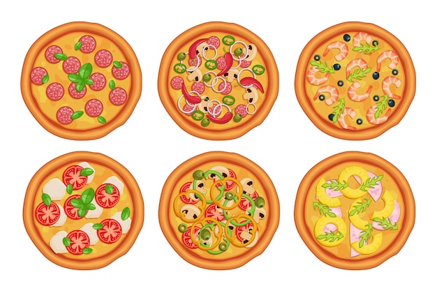 Vector seis tipos de pizza sobre un fondo blanco.