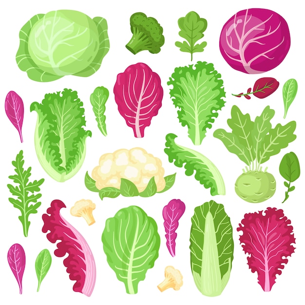 Vector selección de verduras de colores