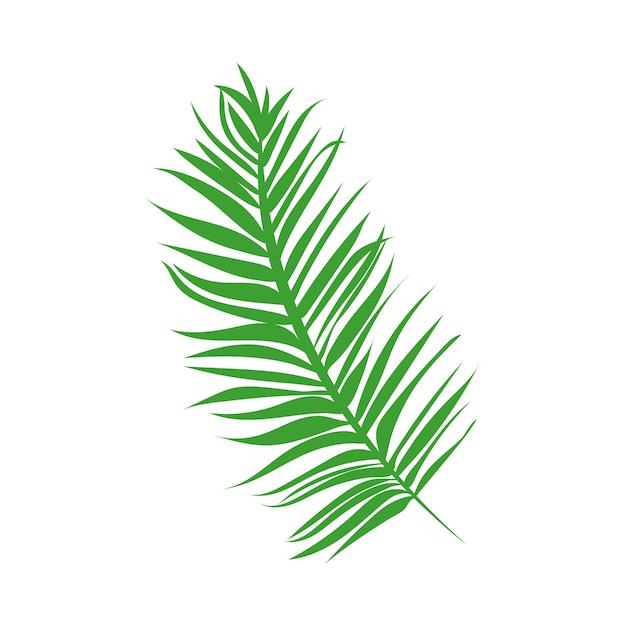 Selva o selva tropical hoja verde elemento herbario planta botánica vector plano hoja de palma