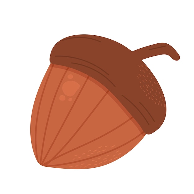 Semilla de nuez de roble bellota Hecho en estilo plano de dibujos animados Ilustración vectorial