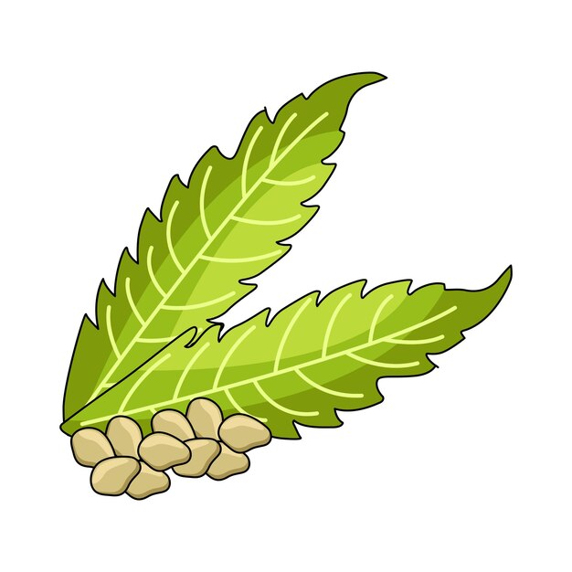 Semilla de sésamo