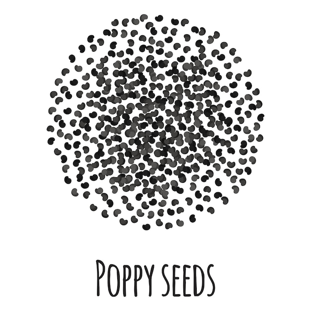 Vector semillas de amapola para el diseño, la etiqueta y el embalaje del mercado del granjero de la plantilla. súper alimento orgánico de proteína de energía natural.