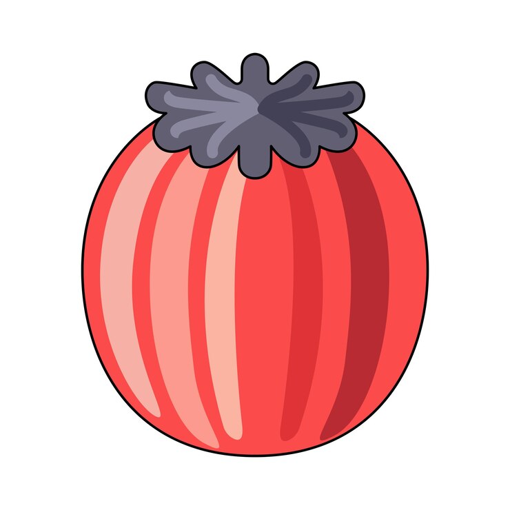 Vector semillas de amapola