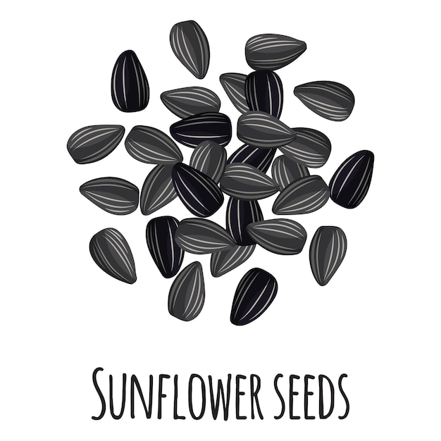 Semillas de girasol para el diseño, la etiqueta y el embalaje del mercado del agricultor de la plantilla. Súper alimento orgánico de proteína de energía natural.