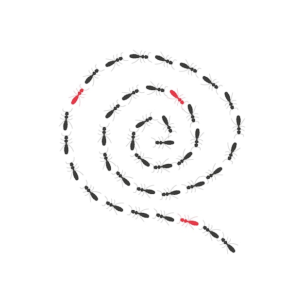 Vector sendero de hormigas en espiral silueta un camino de insectos en busca de comida aislado sobre fondo blanco.