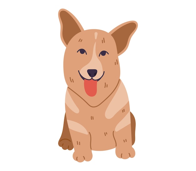 Sentado cara completa lindo perro plano corgi con la lengua colgando vector aislado mascota de dibujos animados