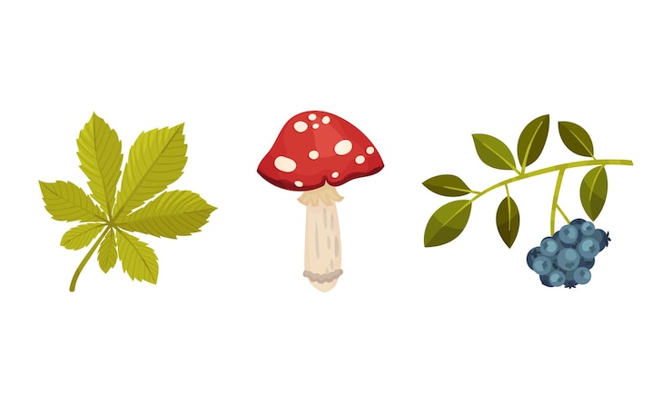Vector sepiente con gorra roja y ramita de baya como conjunto vectorial de elementos de botánica forestal