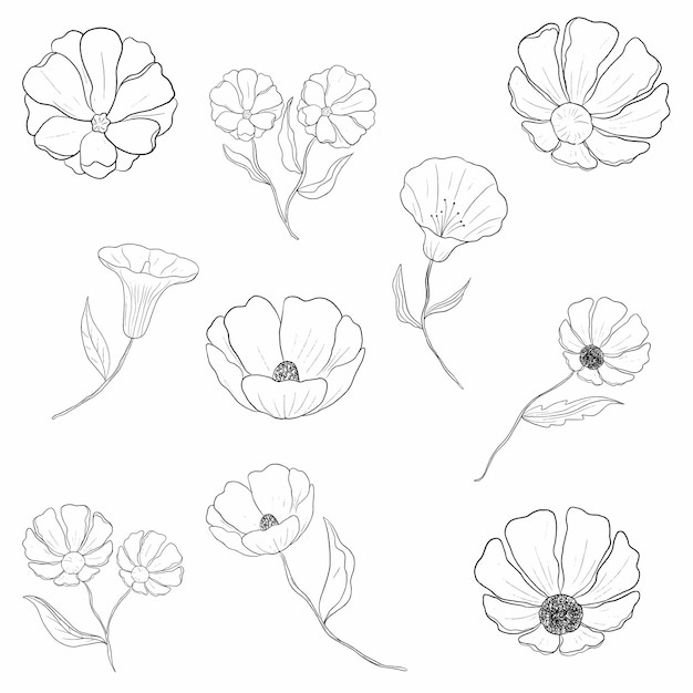 una serie de flores negras y blancas con un dibujo de lápiz